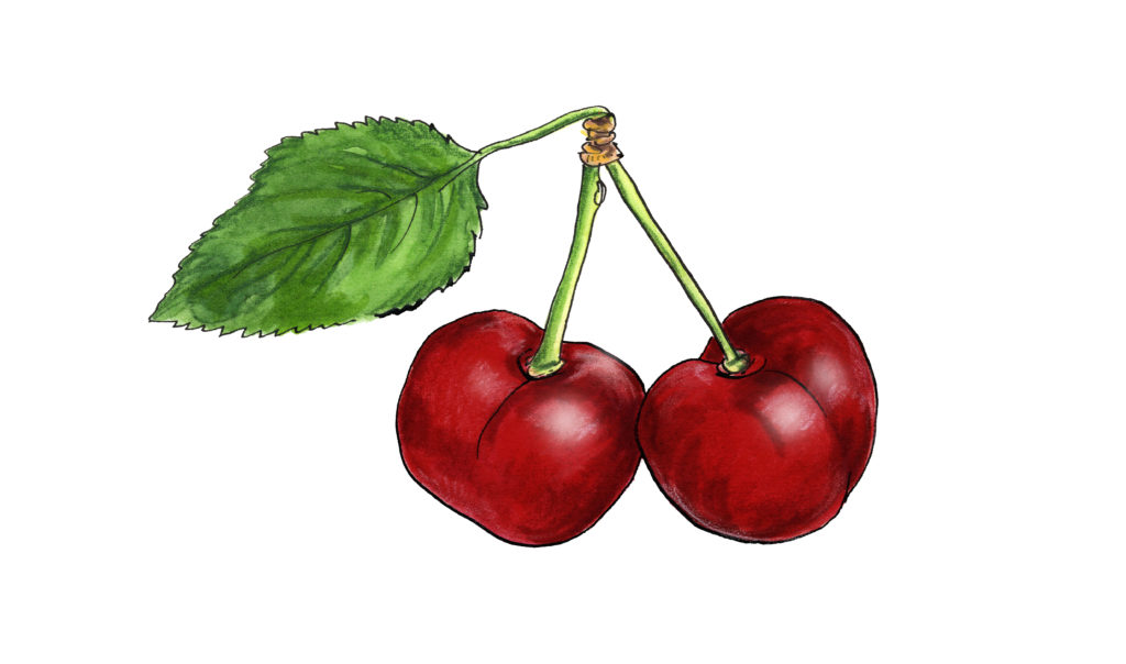 blasta books Cherry gazpacho_illustration credit Nicky Hooper