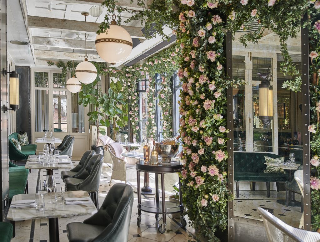 WILDE Rose Terrace