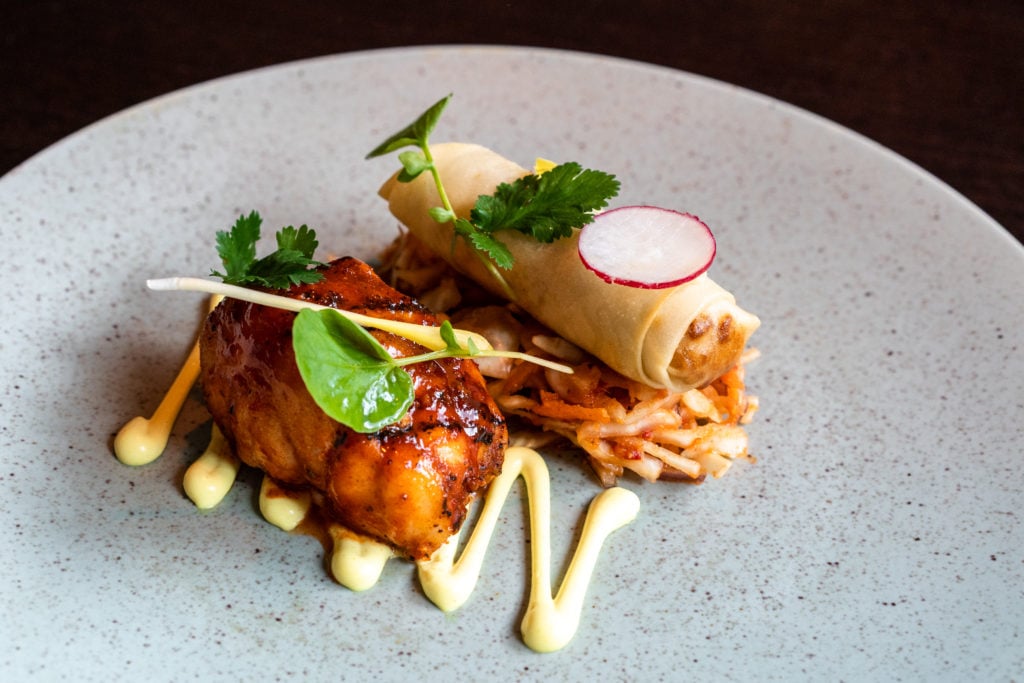 Zampas Hard Rock hotel Competition