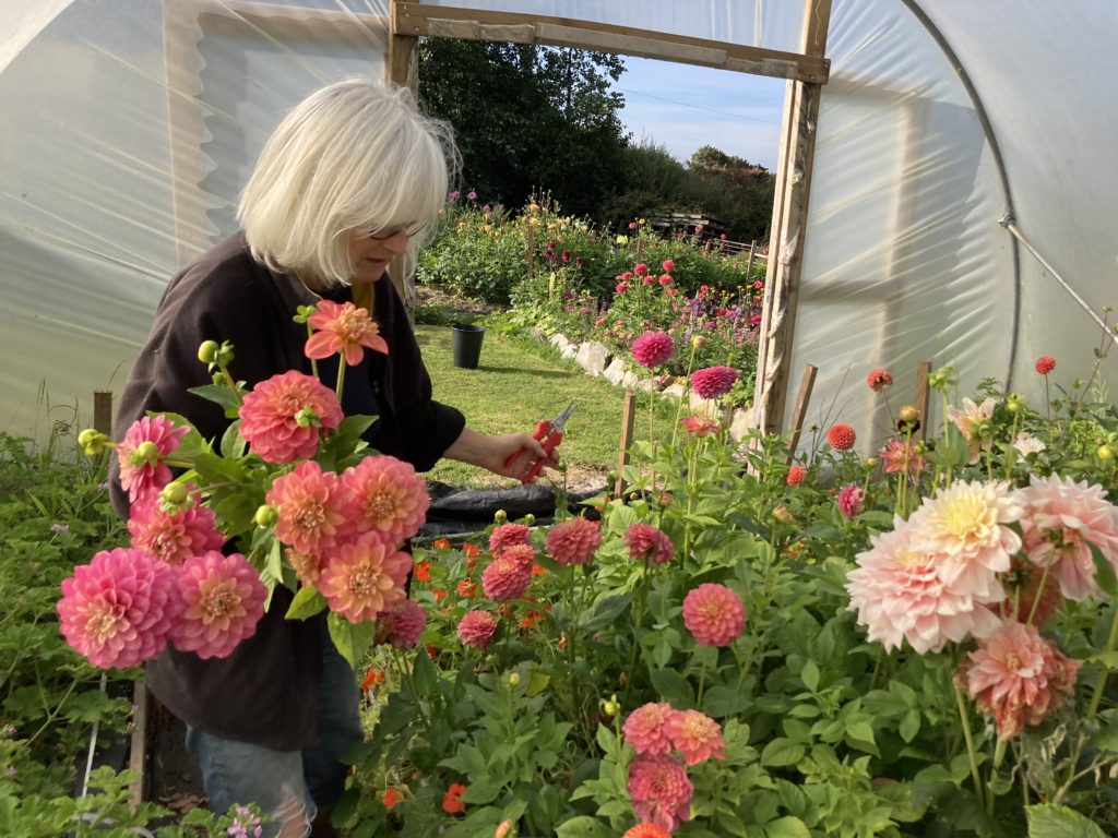 bumblebee flower farm