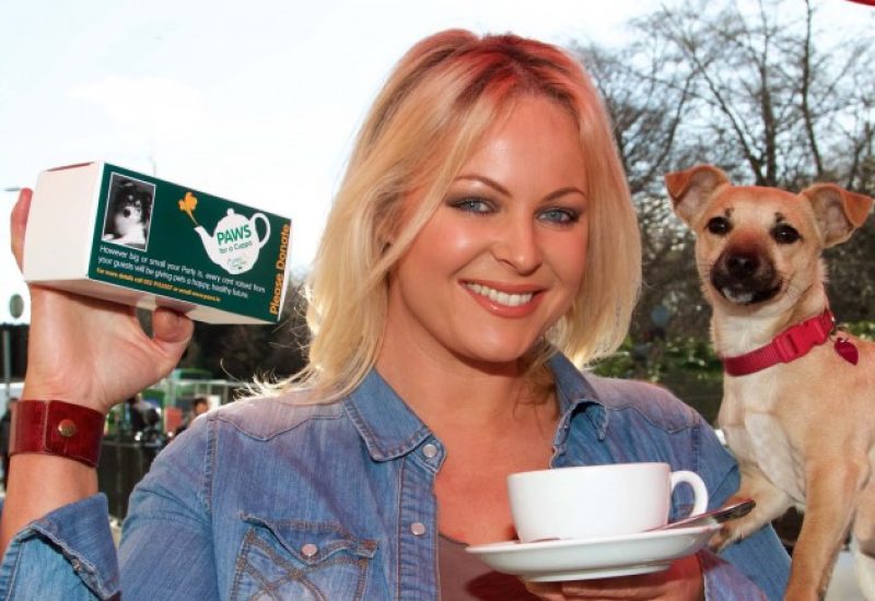 004_PAWS_AmandaBrunker