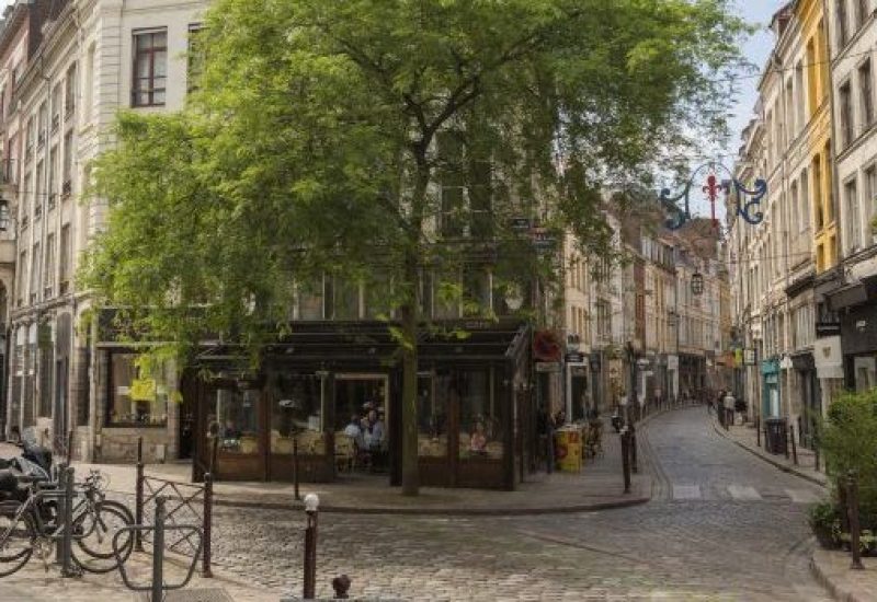 Traditional old buildings by street at lille france
