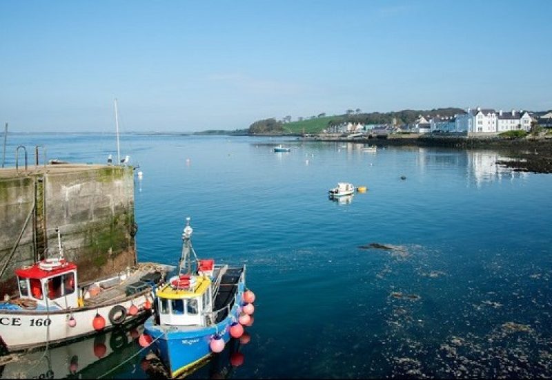 Strangford Lough