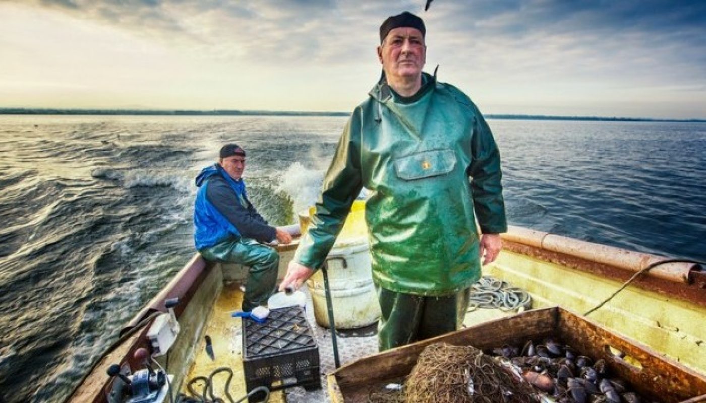 Lough Neagh Eels