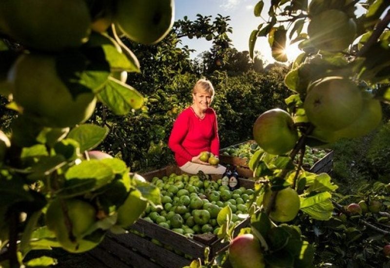 Armagh Cider Company