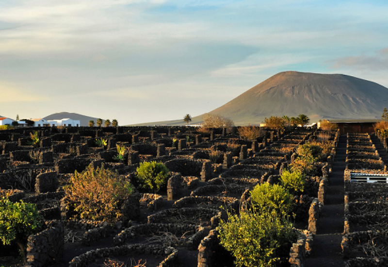 A Song of Rocks and Fire: Epic Volcanic Soil Wines to Try Now