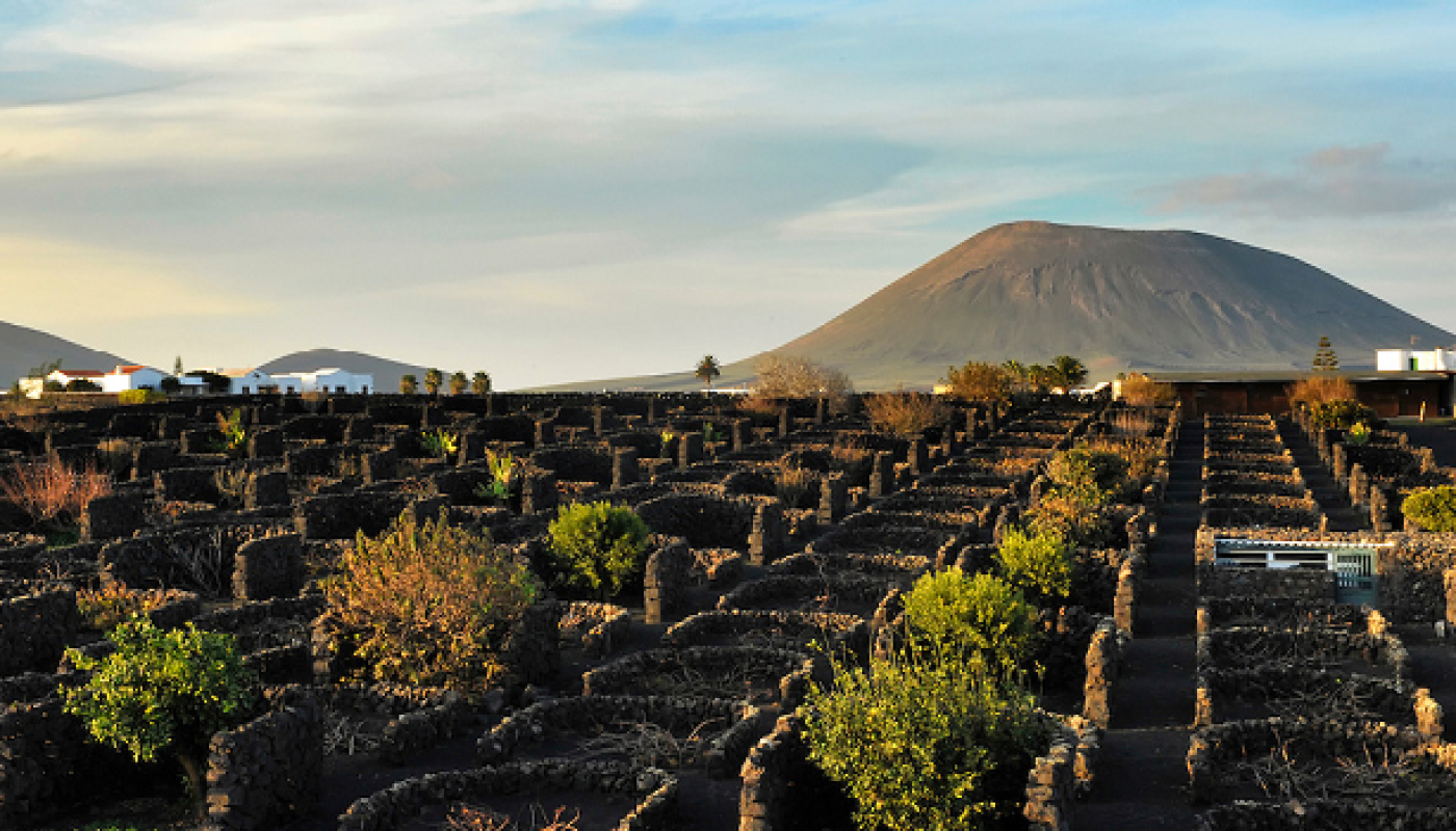 A Song of Rocks and Fire: Epic Volcanic Soil Wines to Try Now