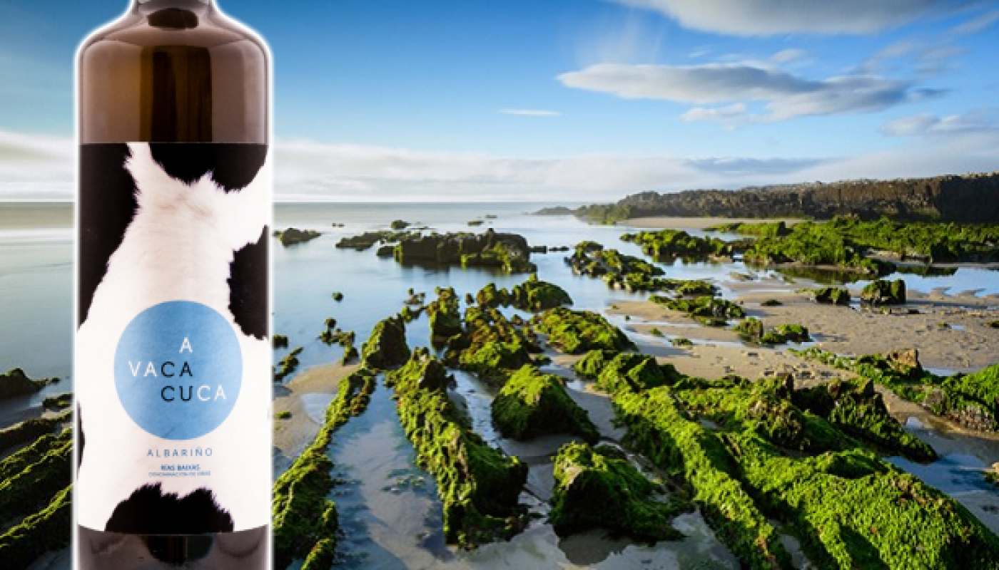 A Vaca Cuca Albarino Wine of the Week from O'Briens Wine
