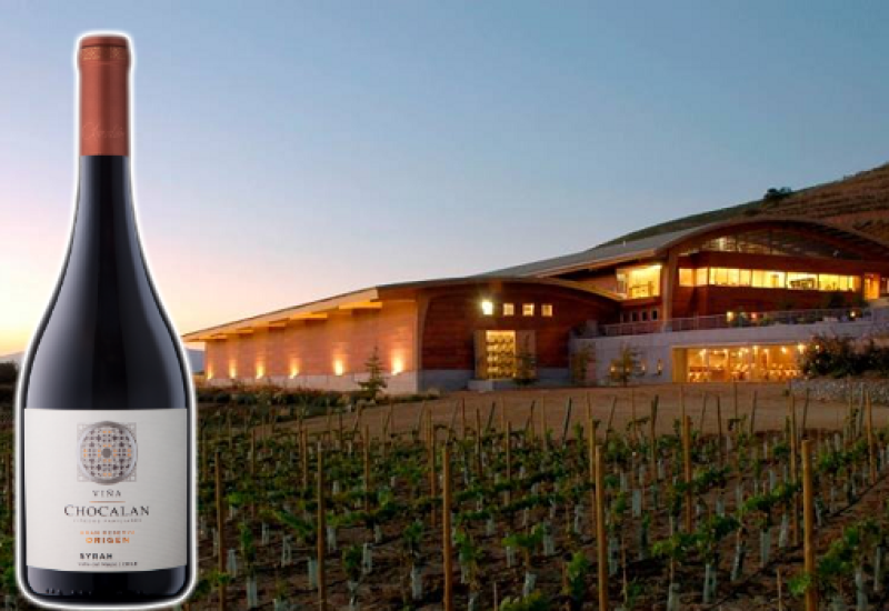 A Velvety Syrah at a Great Value to Treat your Palate without Breaking the Bank