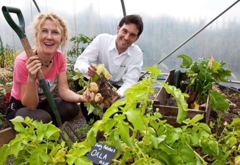 No fee for repro - please credit Paul Sherwood - copyright Paul Sherwood © 2015Airfield, Dundrum, Co.Dublin. Chef, Food, and gardens. June 2015