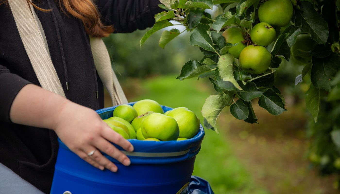 Armagh Food & Cider Weekend