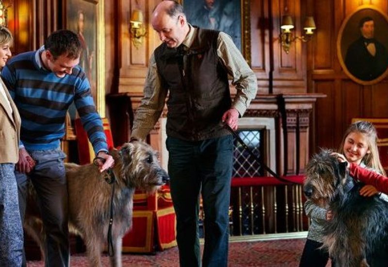 Ashford Castle Pet Friendly