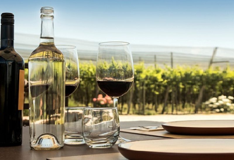 Best Chilean Wines - Explore Cool Regions Reinventing Wines from Chile
