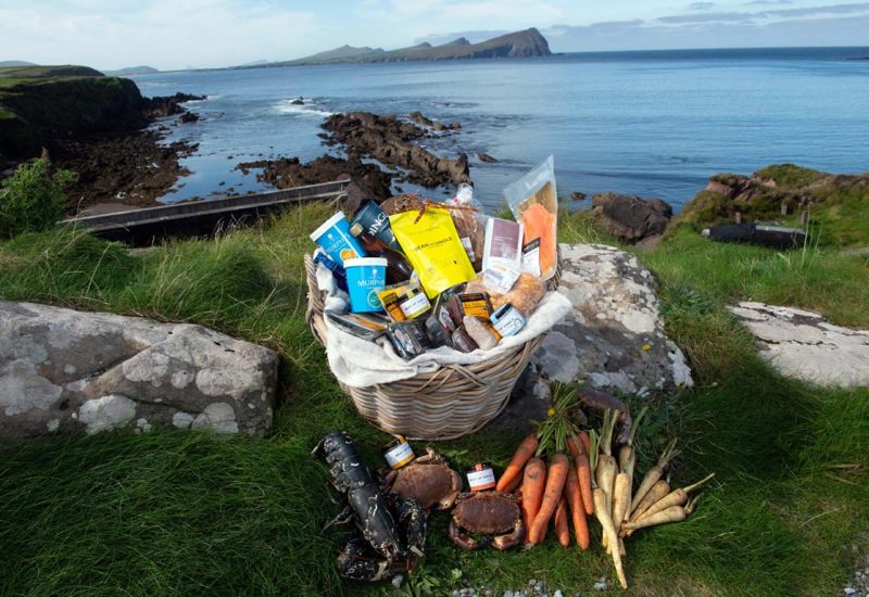 Bia DIngle Food_selection_basket