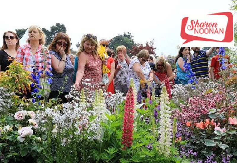 Bloom Festival