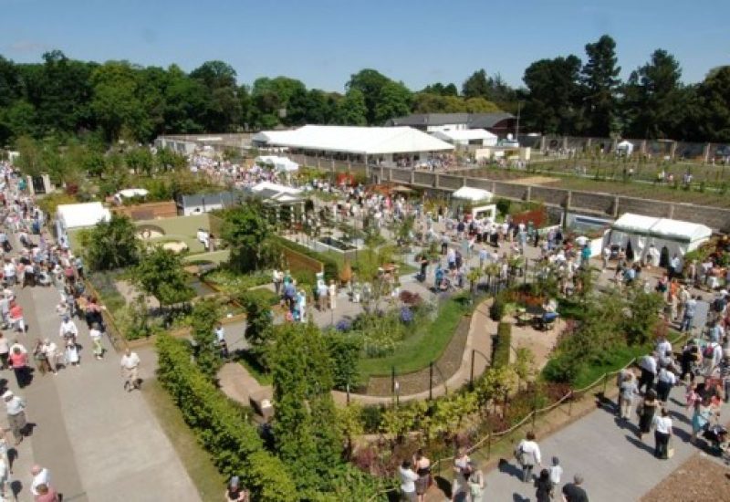Bloom Festival