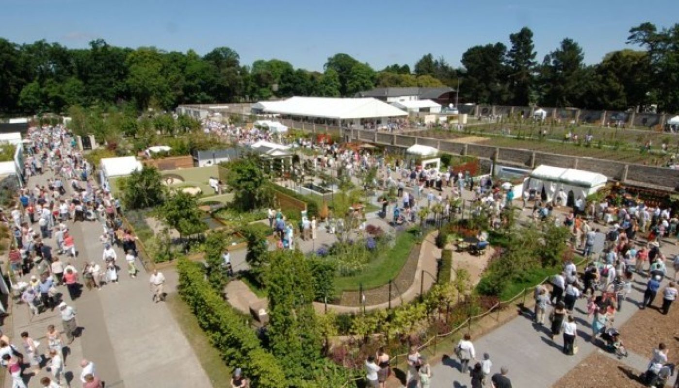 Bloom Festival