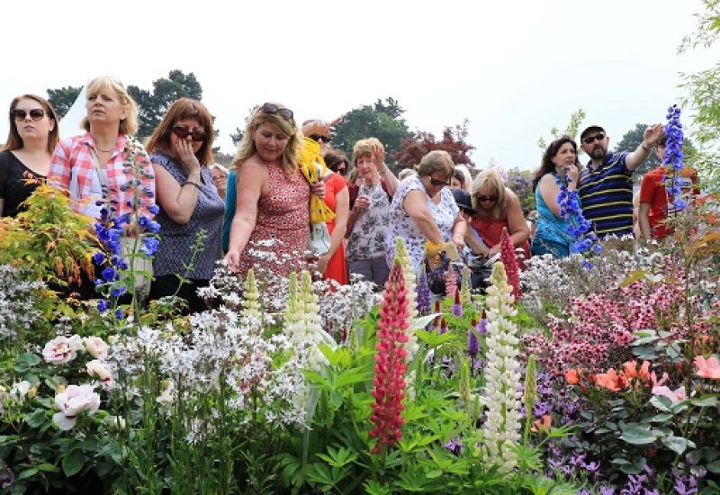 Bloom Festival