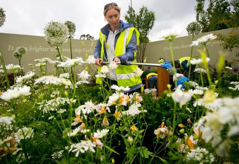 Bord Bia Bloom 2017