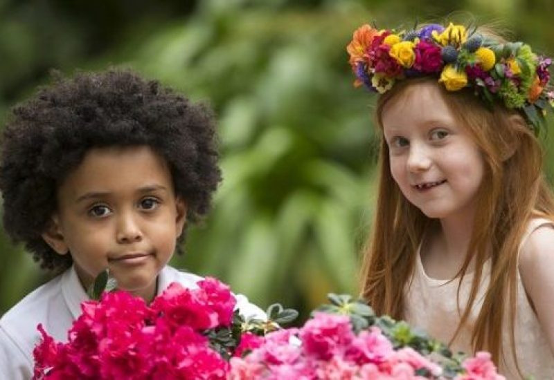 BloombyBordBia