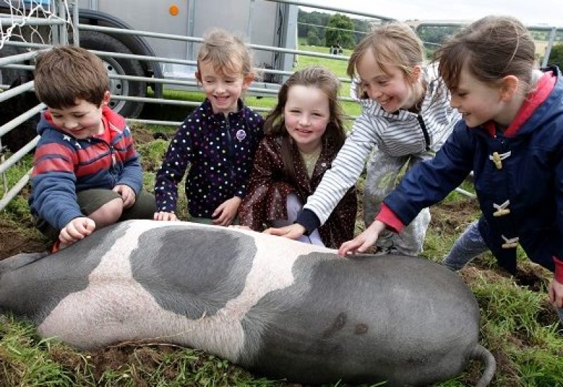 Boyne Valley Food Series