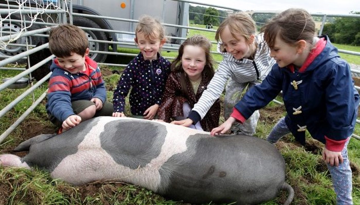 Boyne Valley Food Series