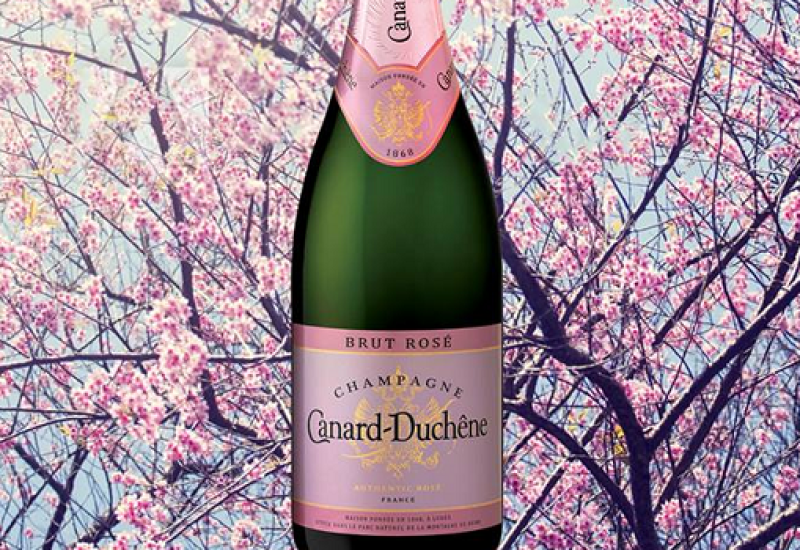 Canard Duchene Rose - Wine of the Week from O'Briens