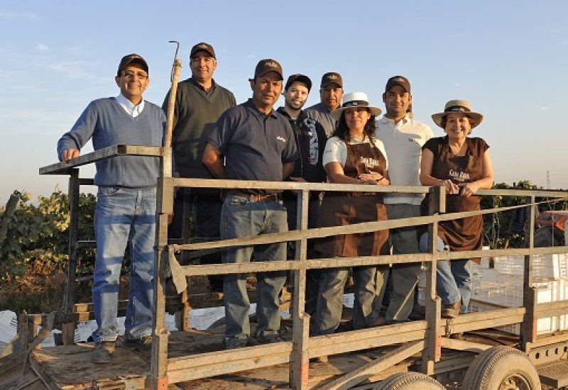 Wines of Chile Named Viña Santa Rita 2016 Winery of the Year