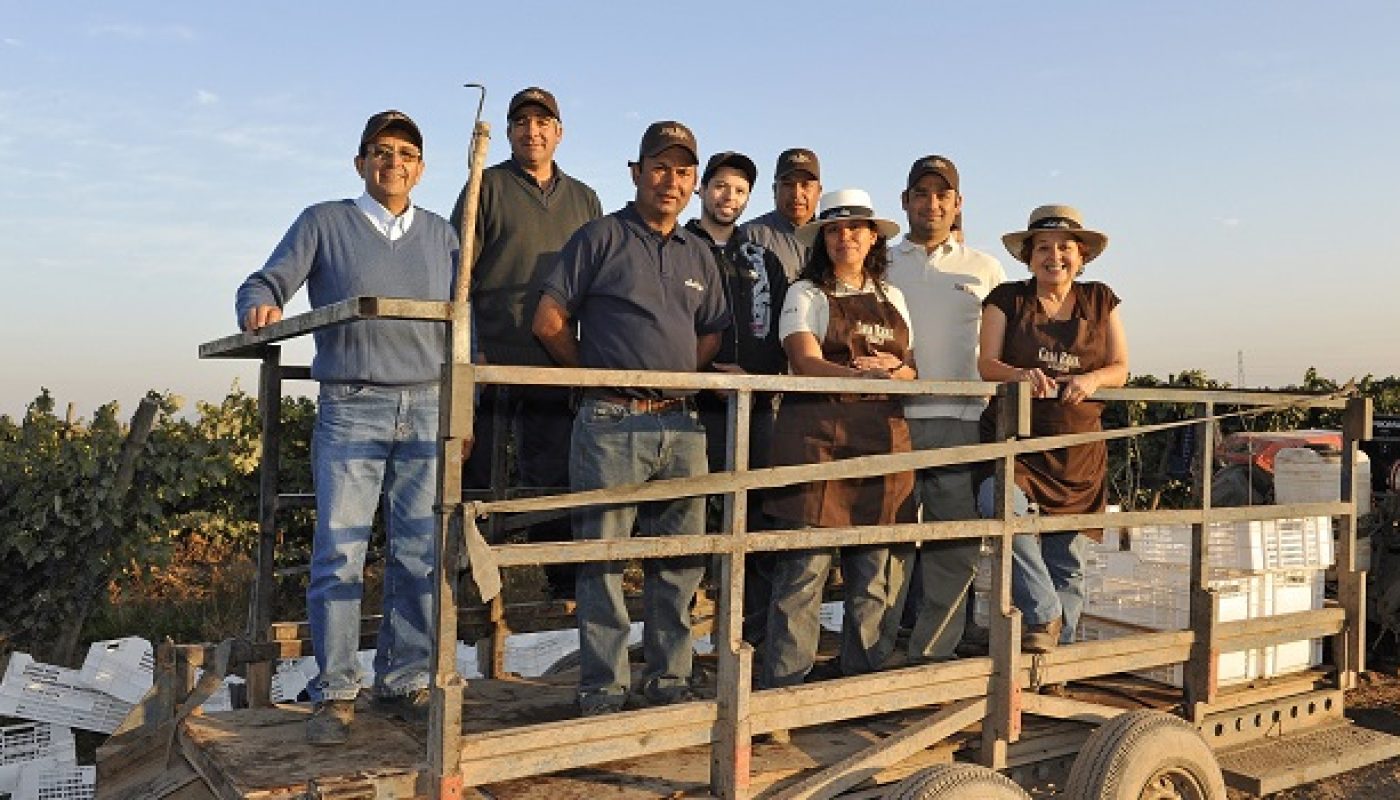 Wines of Chile Named Viña Santa Rita 2016 Winery of the Year