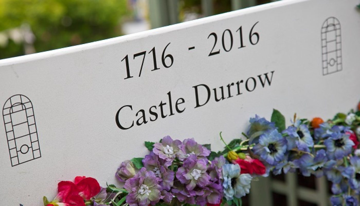 Castle Durrow