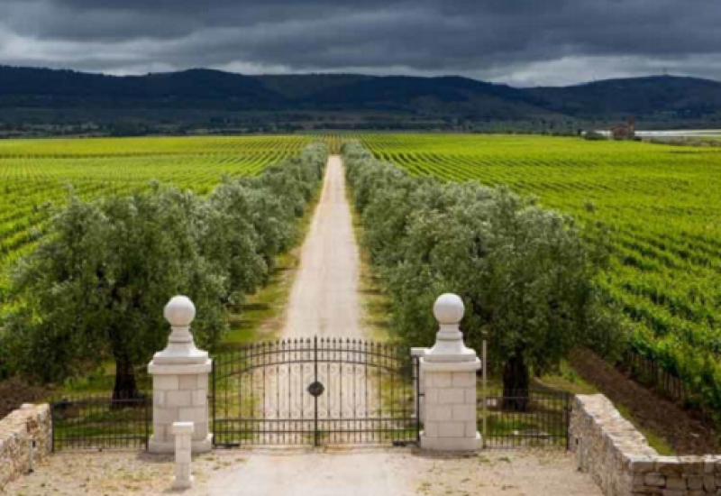 Puglia Wines Change is afoot in Italy Get a kick out of Puglia’s rich reds