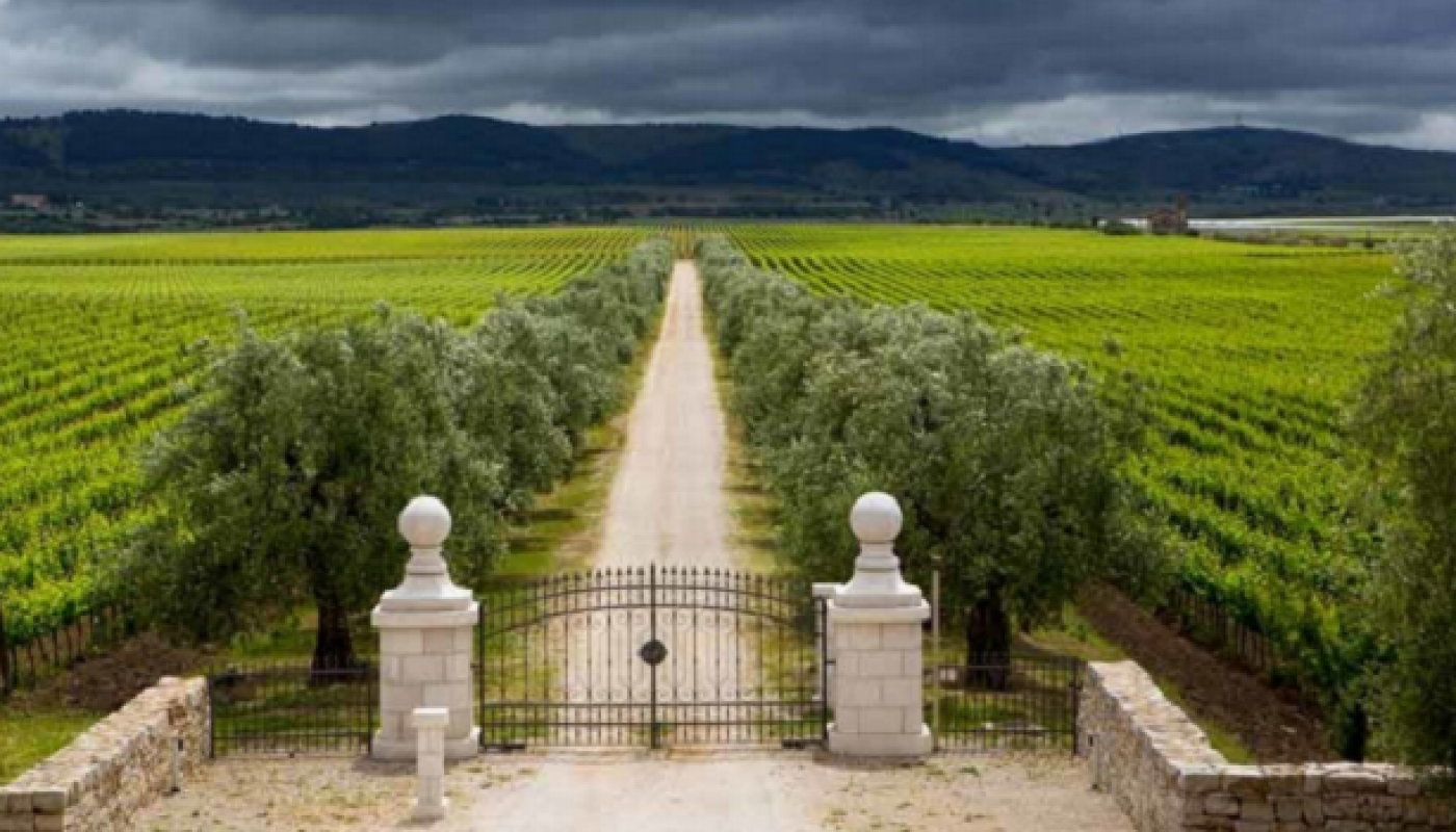 Puglia Wines Change is afoot in Italy Get a kick out of Puglia’s rich reds