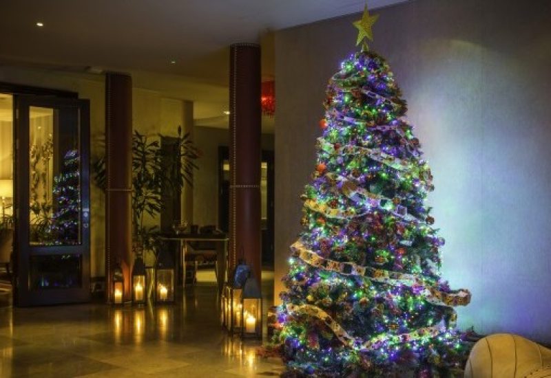 christmas-tree-image