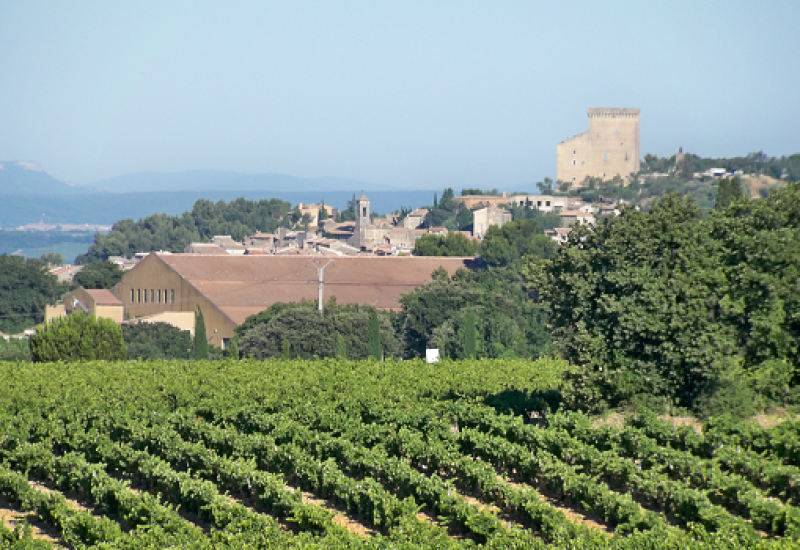 Châteauneuf-du-Nope: Scandal Over Rhone Valley Fraud Sparks International Outrage