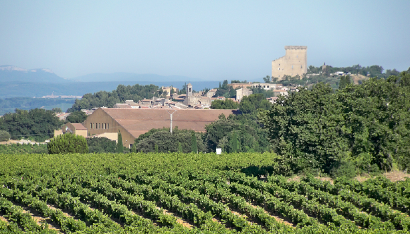 Châteauneuf-du-Nope: Scandal Over Rhone Valley Fraud Sparks International Outrage