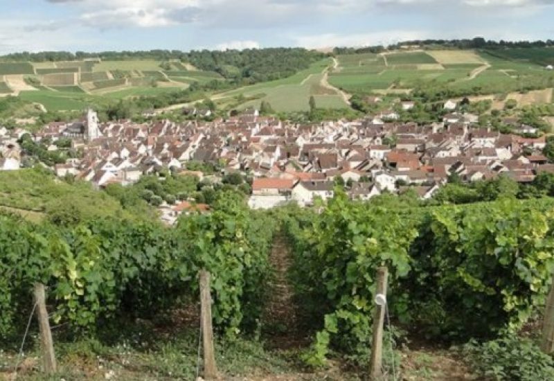 Cité des Vins de Bourgogne: Burgundy's Ambitious Network of Museums Gets Green Light