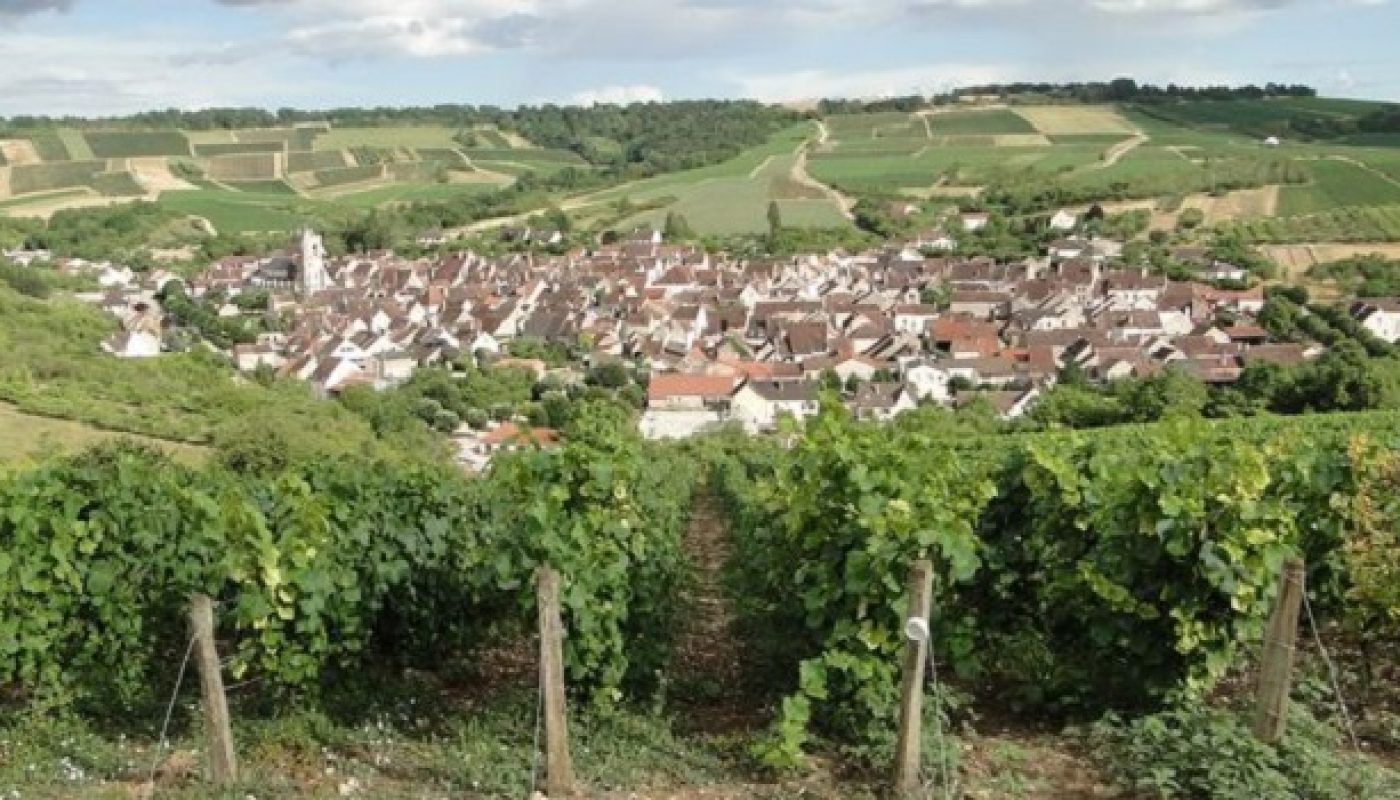 Cité des Vins de Bourgogne: Burgundy's Ambitious Network of Museums Gets Green Light