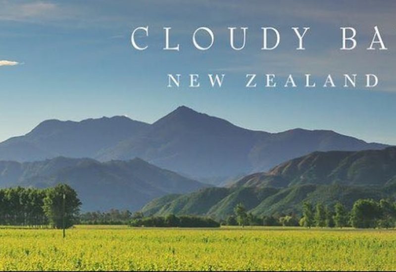 Cloudy Bay View