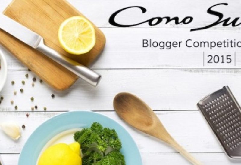 Voting Now Open for Cono Sur Blogger Competition 2015