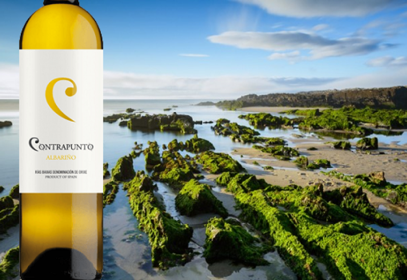 Contrapunto Albarino 2015 – Wine of the Week from O’Briens