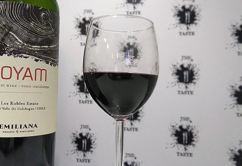 Wine of the Week from O'Briens Wine: Coyam 2012