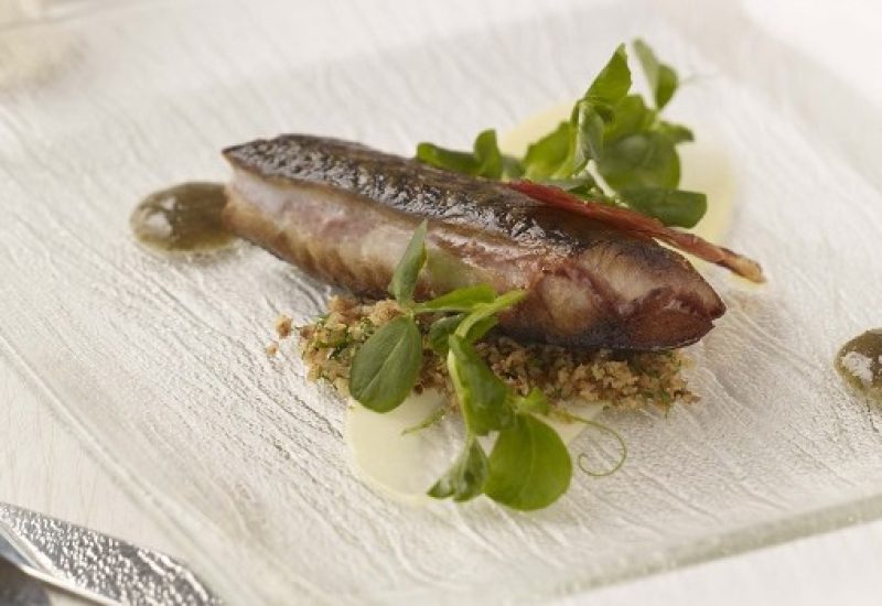 Mackerel Recipe Dax Restaurant