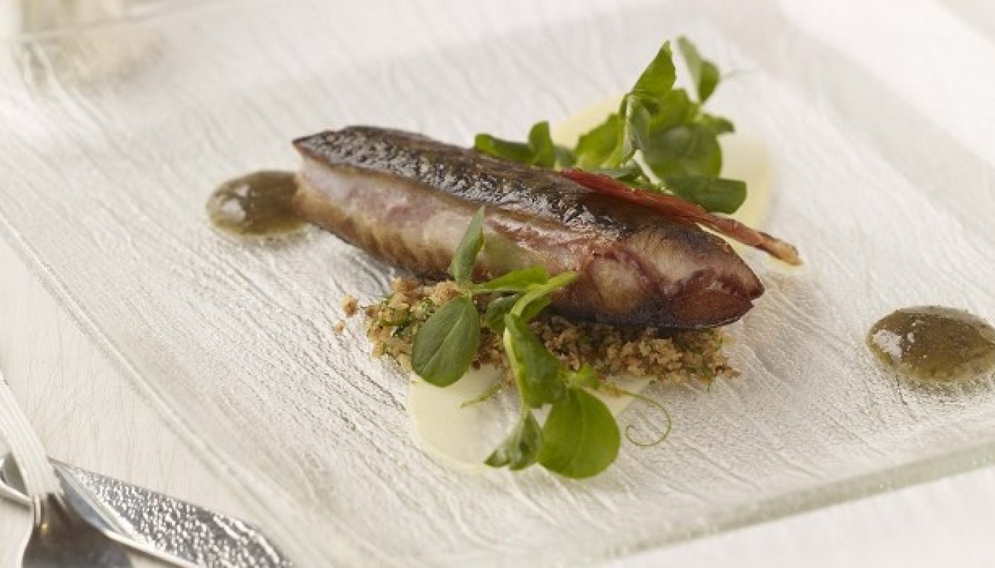 Mackerel Recipe Dax Restaurant