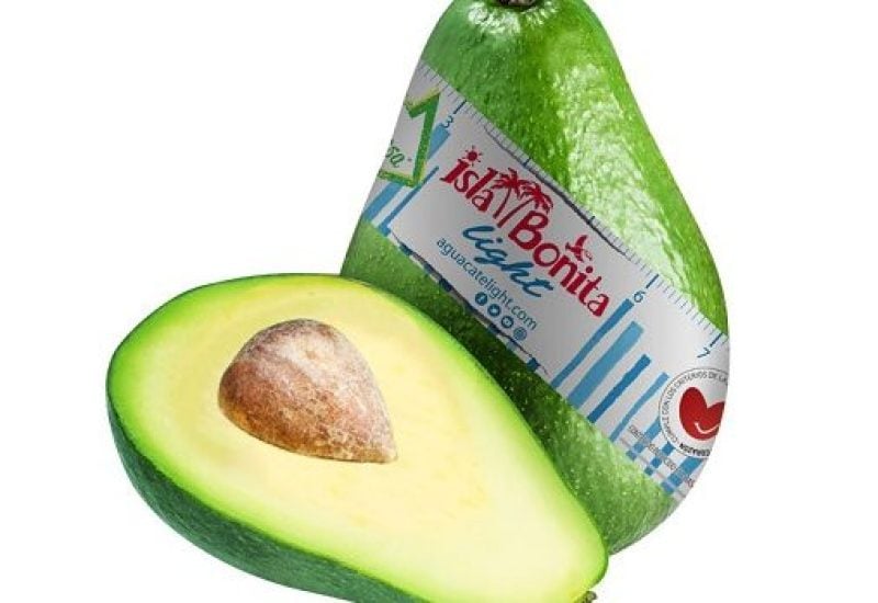 Diet Low Fat Avocado
