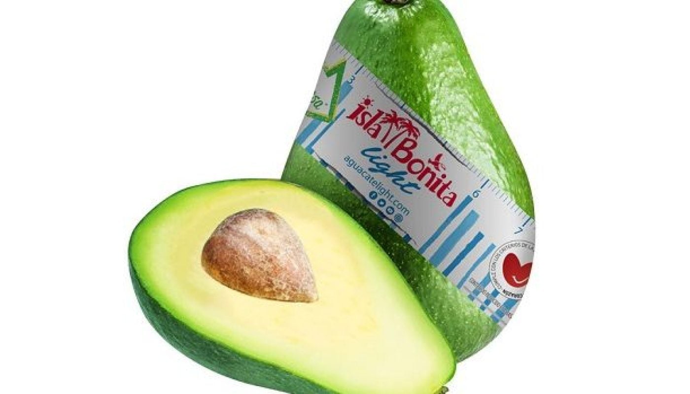 Diet Low Fat Avocado