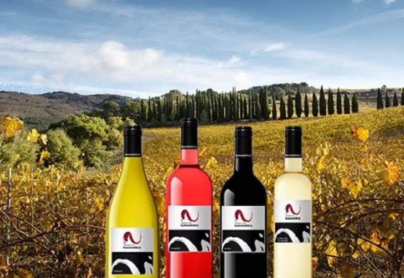 Discover a Taste of Wines from Navarra this October at the Wines from Spain Fair