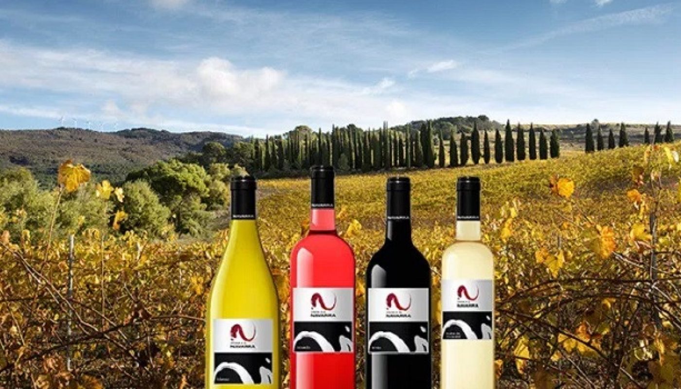 Discover a Taste of Wines from Navarra this October at the Wines from Spain Fair