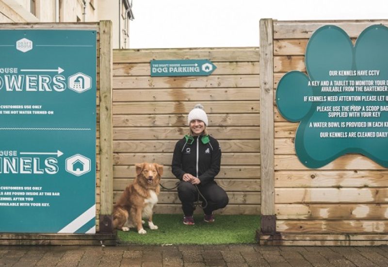 Bring the Whole Pack to Ireland's Most Dog Friendly Pub to Celebrate the Year of the Dog | The Draft House Gastropub