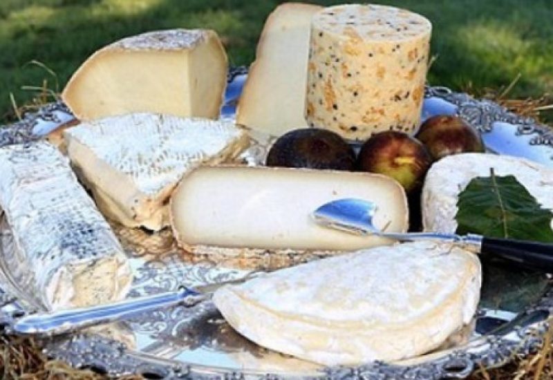 donkey-cheese-2