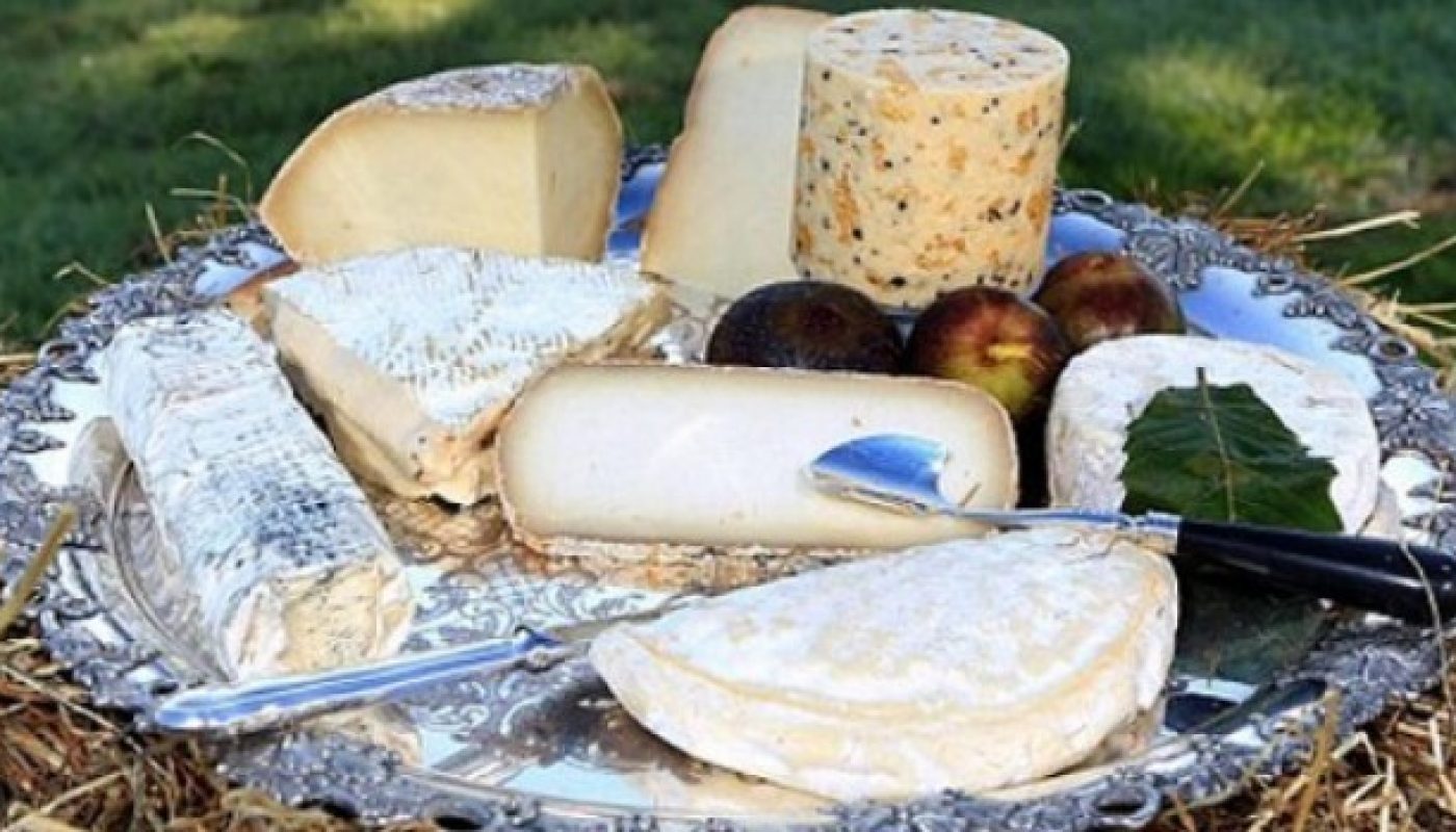 donkey-cheese-2